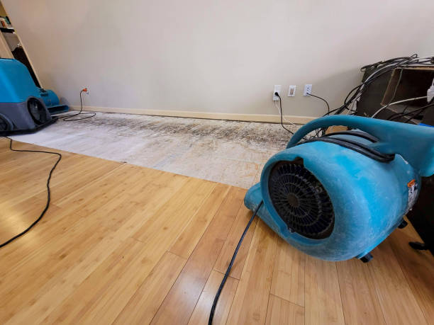 Professional Water Damage Repair technician working in Thornton, PA